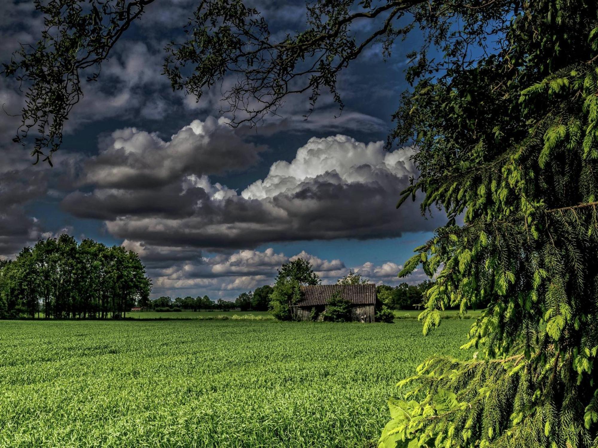 Quaint In With Meadow View Hébergement de vacances Geesteren (Gelderland)