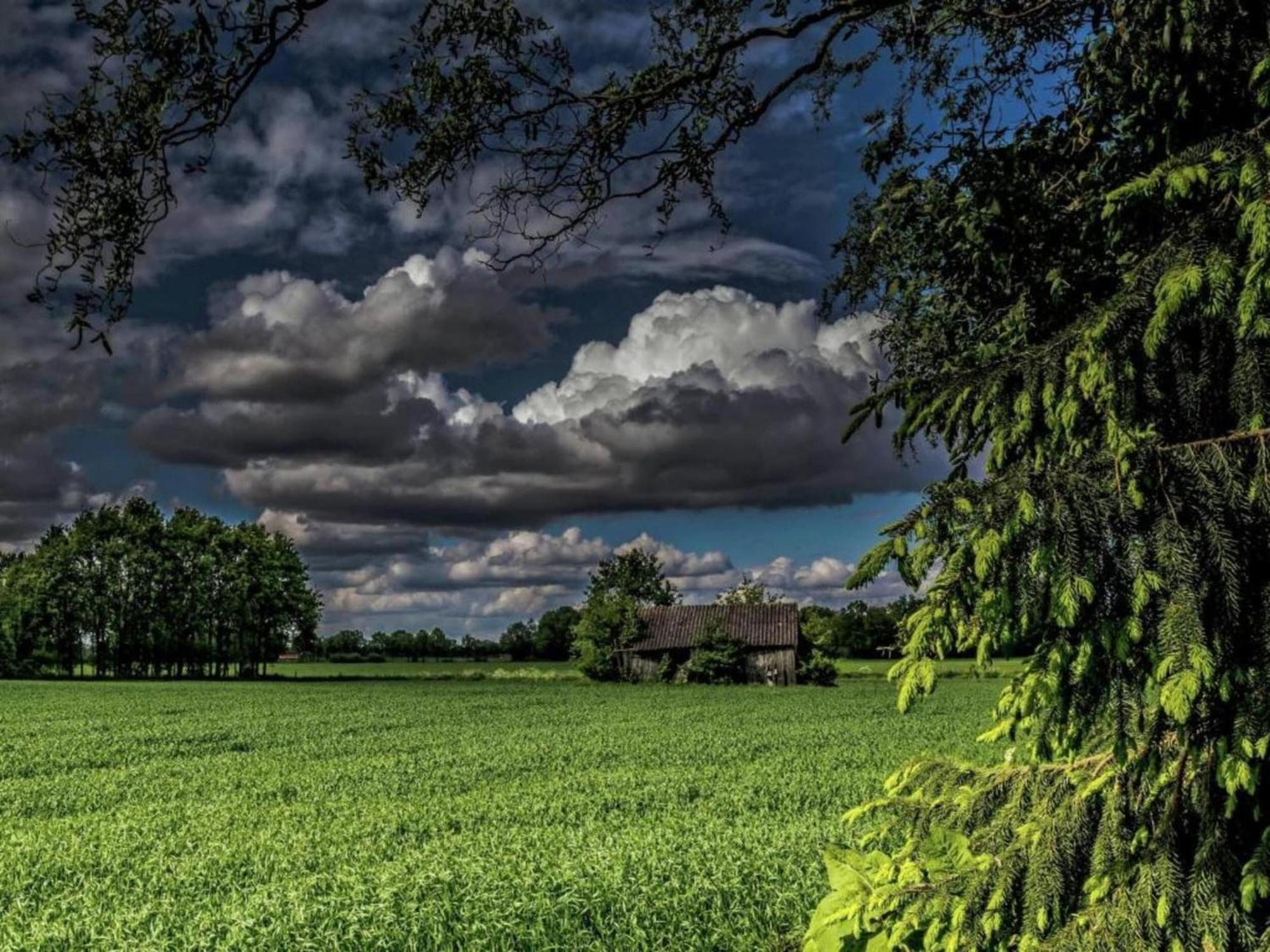 Hébergement de vacances Quaint In With Meadow View