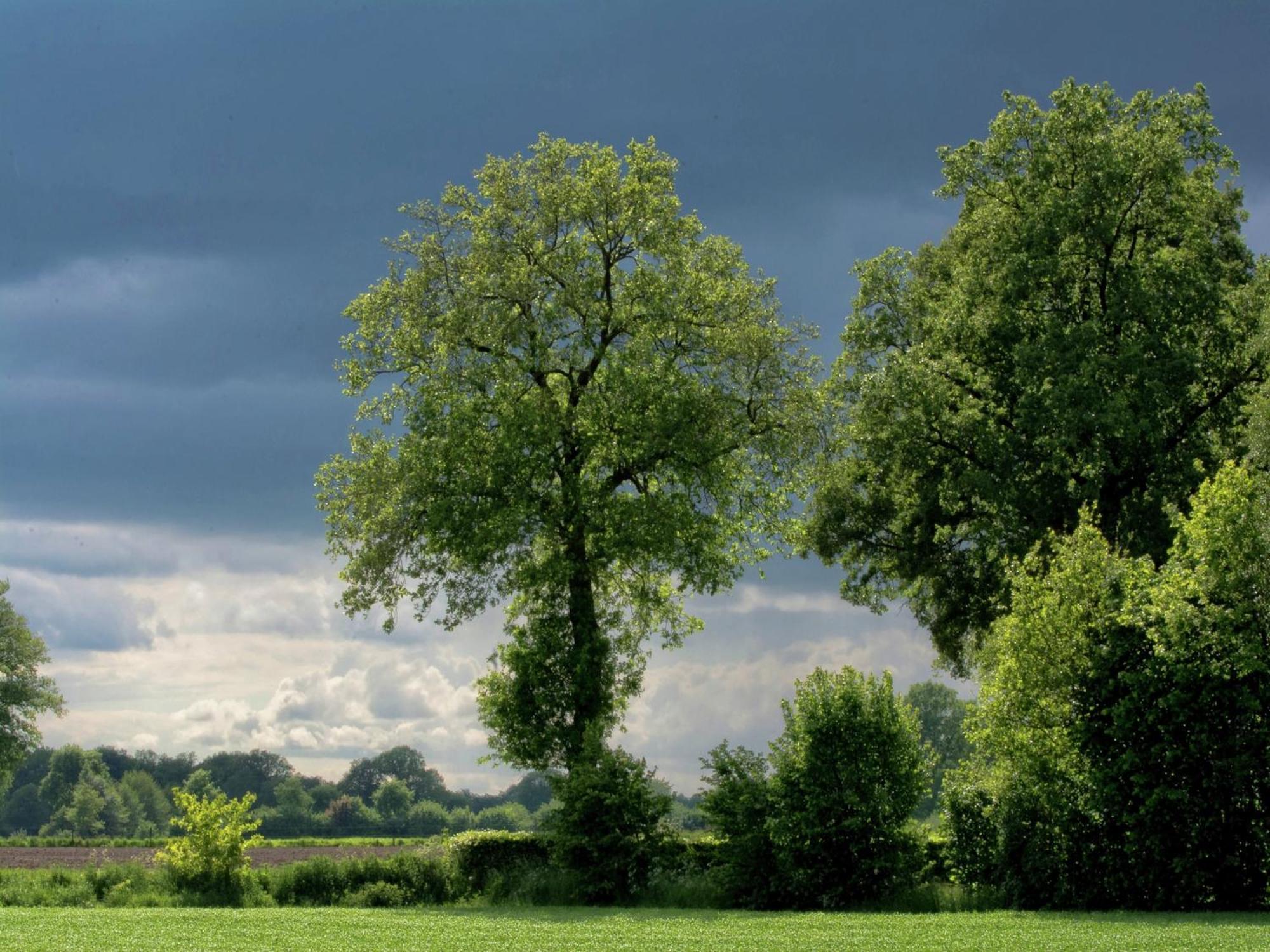 Quaint In With Meadow View Geesteren (Gelderland)